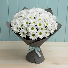 Букет цветов из:  Хризантемы #REPLACE_PRED# Задонске