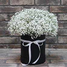 Цветочная композиция из Гипсофила в шляпной коробке #REPLACE_PRED# Задонске