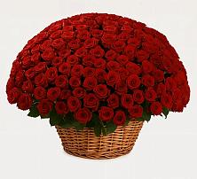 Премиум букет из: Розы в Задонске